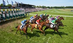 Horse racing betting at Apollo Slots